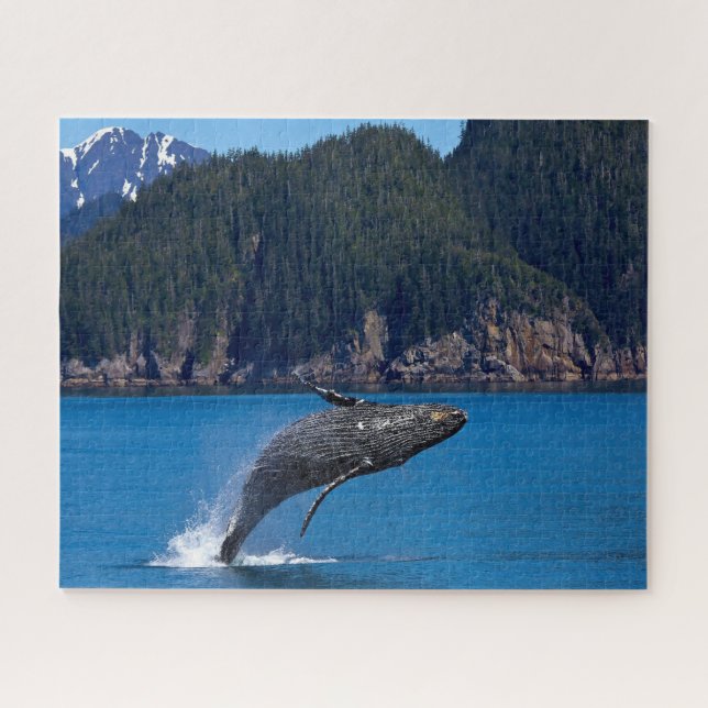 Puzzle Las ballenas jorobadas de Jigsaws. (Horizontal)
