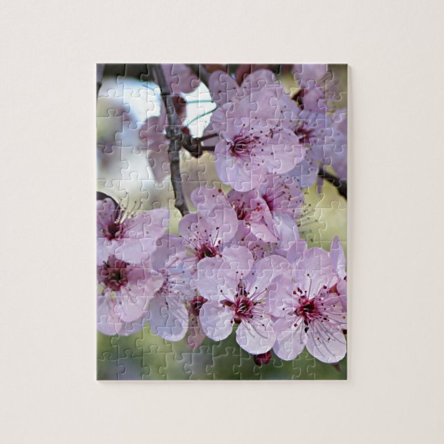Puzzle Las flores de cerezo palidecen - rosa y blanco (Vertical)