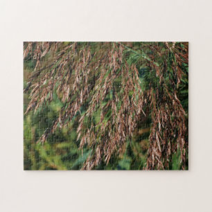 Puzzle Las Grasas Secas Faternales Aceleran La Naturaleza