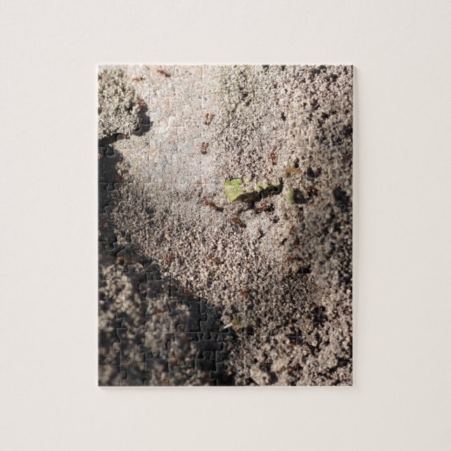 Puzzle Las hormigas van a marchar (Vertical)