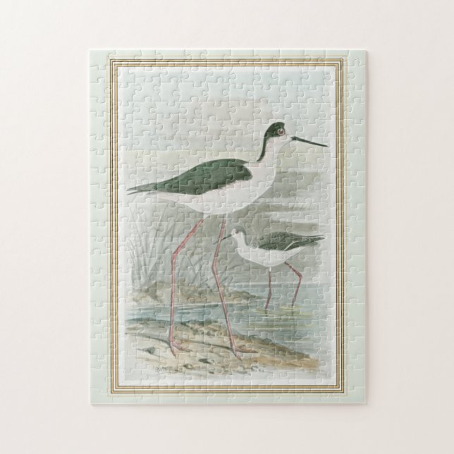 Puzzle Las inclinaciones de cuello negro por el agua (Vertical)