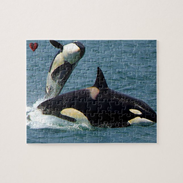 Puzzle Las orcas de Jigsaw o ballenas asesinas (Horizontal)