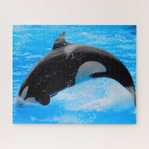 Puzzle Las Orcas de Jigsaw o Ballenas Asesinas