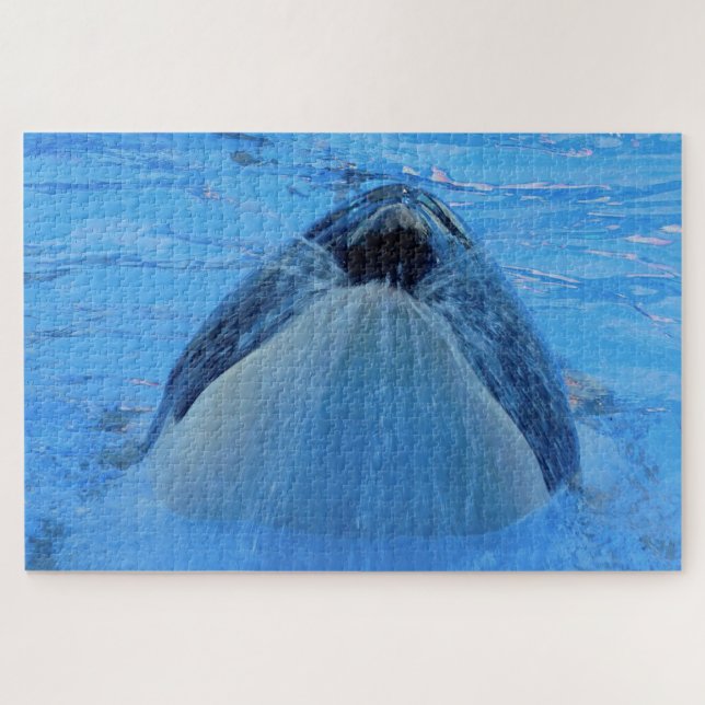 Puzzle Las orcas o ballenas asesinas de Jigsaw (Horizontal)