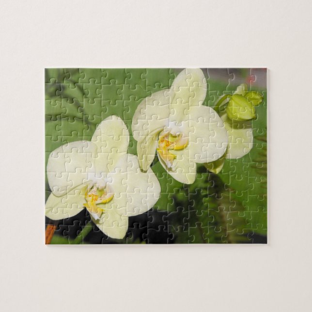 Puzzle Las orquídeas blancas en un fondo verde (Horizontal)