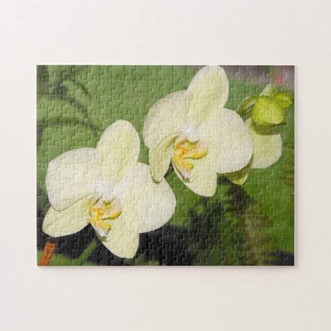 Puzzle Las orquídeas blancas en un fondo verde (Horizontal)