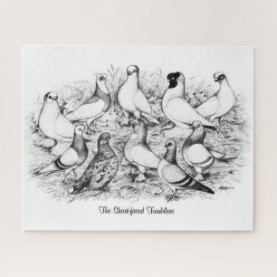 Puzzle Las palomas de Tumbler de cara corta