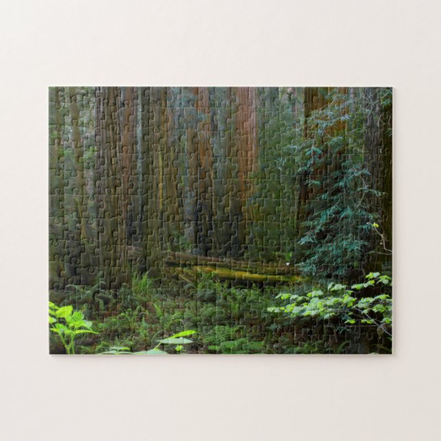 Puzzle Las secuoyas en el Parque Nacional Muir Woods (Horizontal)