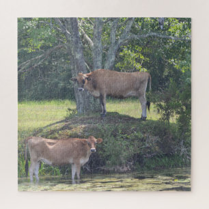 Puzzle Las vacas rurales se enfrían