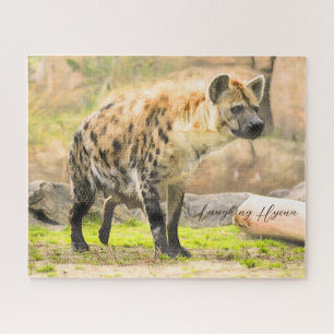 Puzzle Laughing Hyena