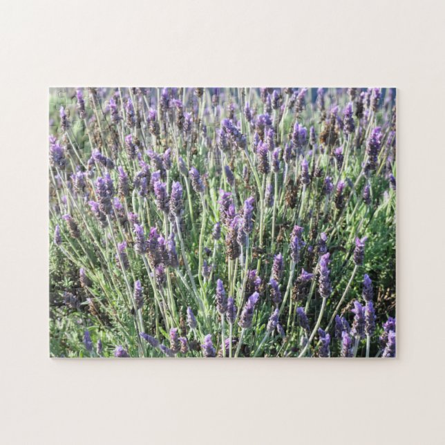 Puzzle Lavanda (Horizontal)