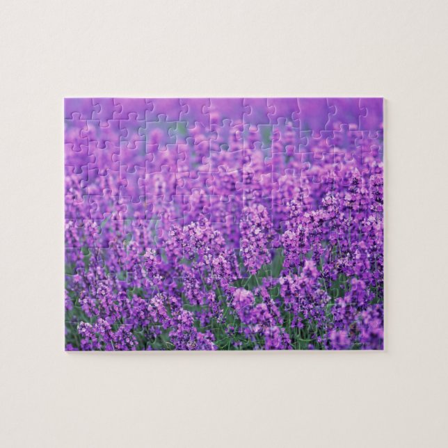 Puzzle Lavanda (Horizontal)
