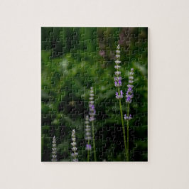 Puzzle Lavanda inglesa