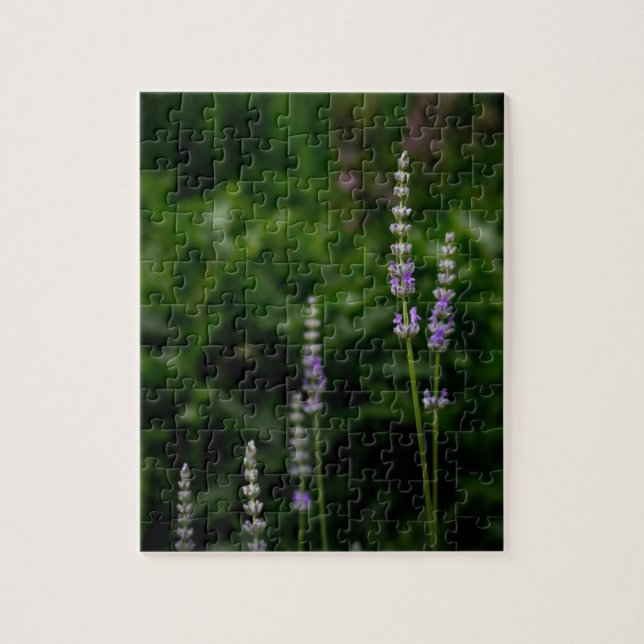 Puzzle Lavanda inglesa (Vertical)