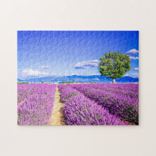 Puzzle Lavander de Provenza