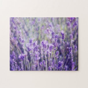 Puzzle Lavender Floral