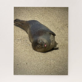 Puzzle Lazy Seal