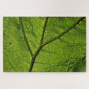 Puzzle Leaf. Butterbur verde