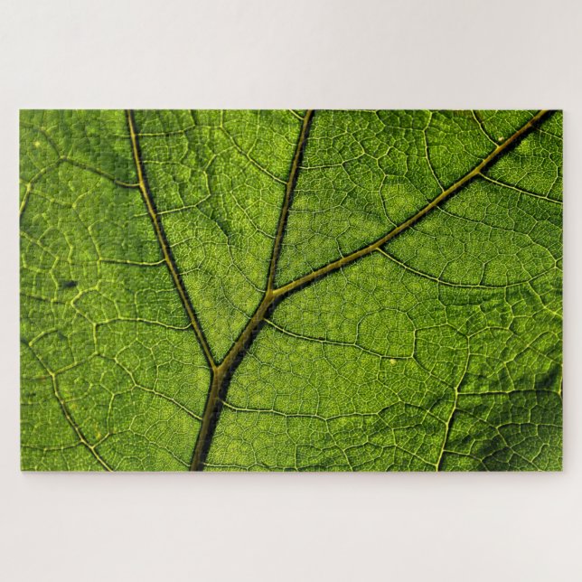 Puzzle Leaf. Butterbur verde (Horizontal)
