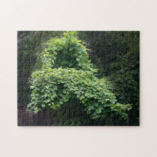 Puzzle Leafy Vine Throne Nature