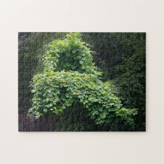Puzzle Leafy Vine Throne Nature