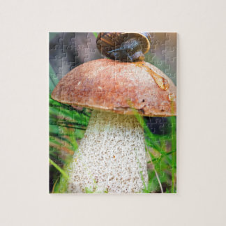 Puzzle Leccinum en hierba con caracol