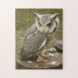 Puzzle Lechuza águila india