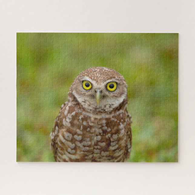 Puzzle Lechuza Ardiente (Horizontal)