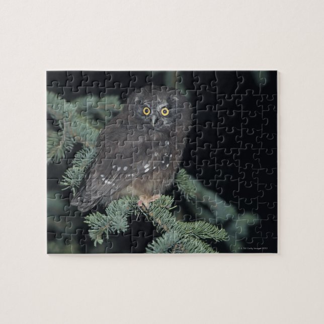 Puzzle Lechuza boreal en rama (Horizontal)