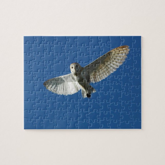 Puzzle Lechuza Común en Vuelo Diurno (Horizontal)