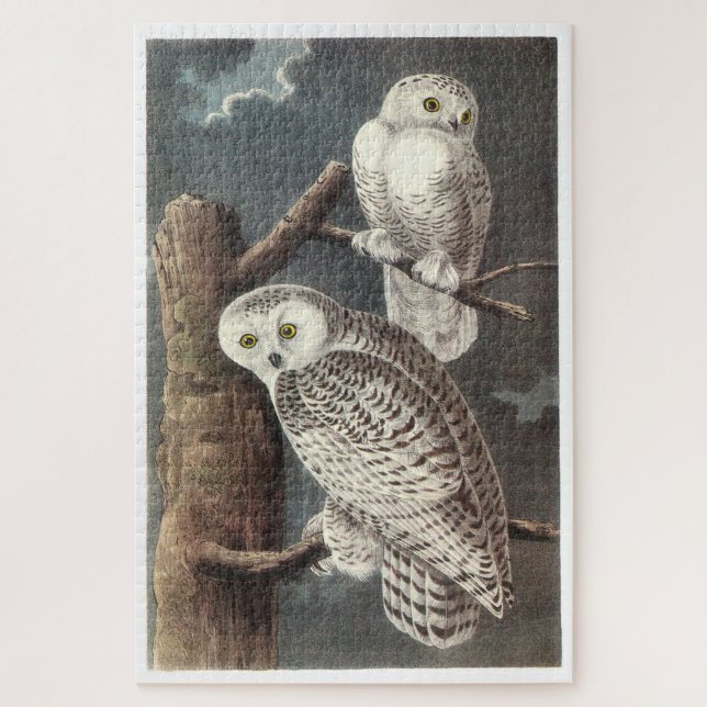Puzzle Lechuza de nieve por Audubon (Vertical)