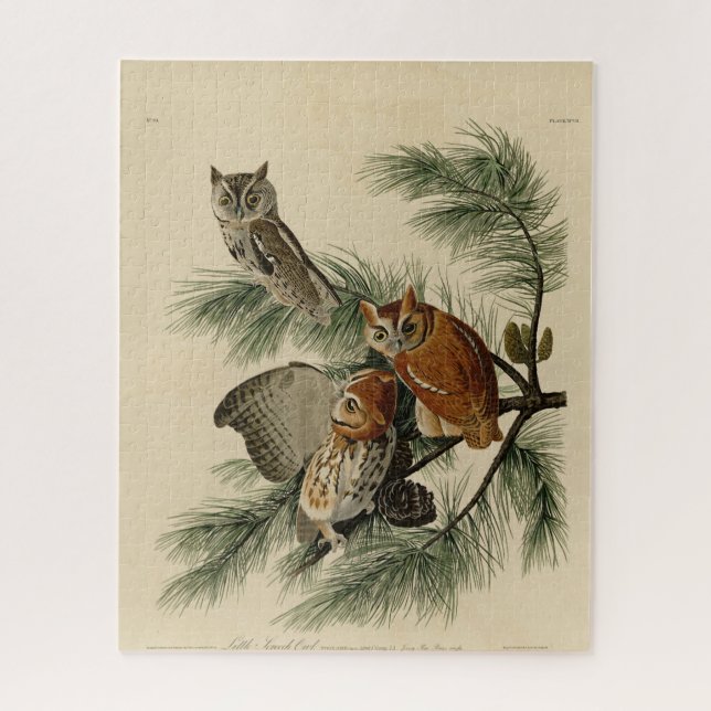 Puzzle Lechuza de pequeño grito de los pájaros de América (Vertical)