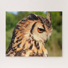 Lechuza Hornugle - Aves de Preya.