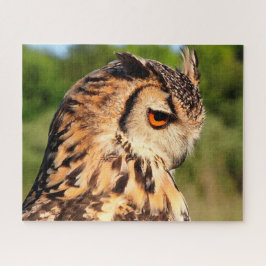 Puzzle Lechuza Hornugle - Aves de Preya.