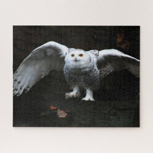 Puzzle Lechuza nevada con alas abiertas 16x20 520pc jpcnm