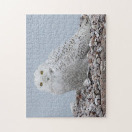 Puzzle Lechuza nevada en conchas