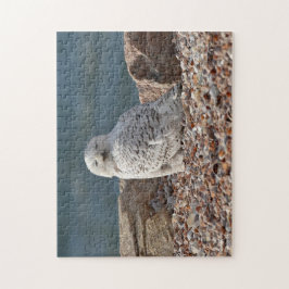 Puzzle Lechuza Snowy