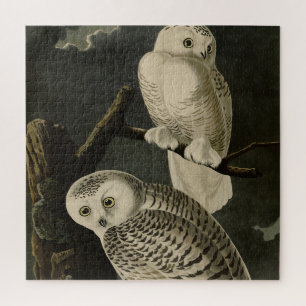 Puzzle Lechuza Snowy, los pájaros de América de John Jame