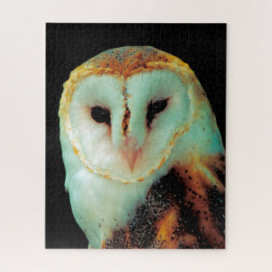 Puzzle Lechuzas - Aves de Presa.