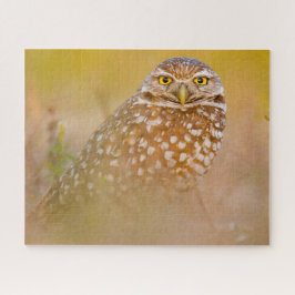 Puzzle Lechuzas -Aves de Preya.