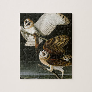 Puzzle Lechuzas comunes Illustratation (Audubon) del