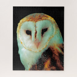 Puzzle Lechuzas de granero -Aves de presa.