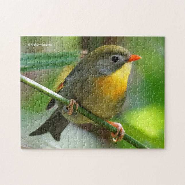 Puzzle Leiothrix colorida / Pekin Robin Songbird (Horizontal)