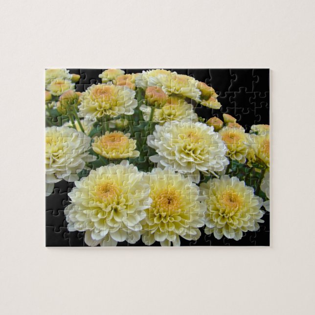 Puzzle Lemon Meringue Chrysanthemums (Horizontal)