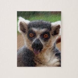 Puzzle Lemur
