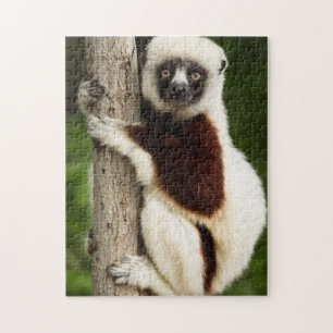 PUZZLE LEMUR JIGSAW PUZZZLE