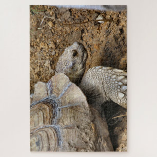 Puzzle Lento