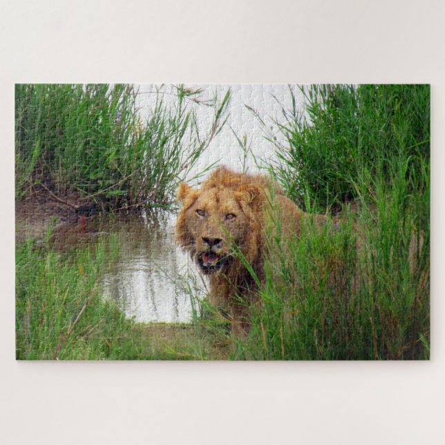 Puzzle león (Horizontal)