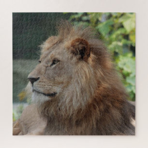 Puzzle León 035