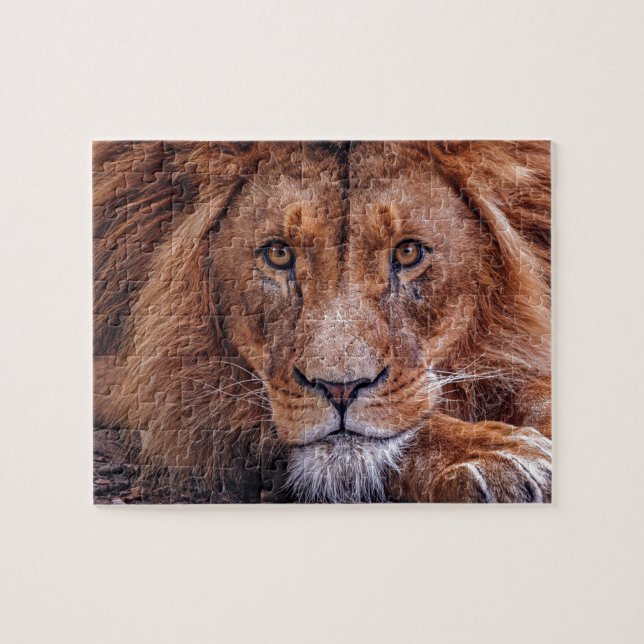 Puzzle León africano (Horizontal)